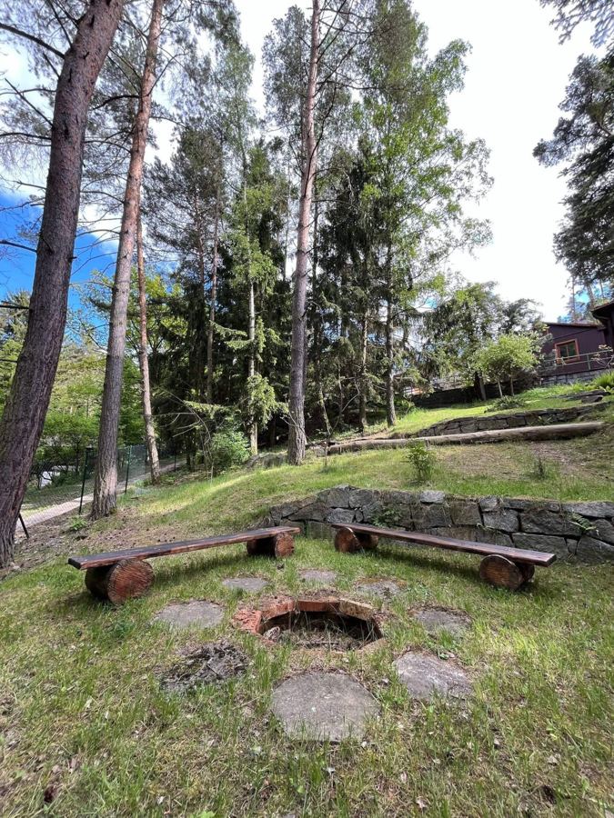 Ohniště s lavicemi z kmenů pod borovicemi